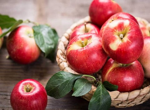 فروش سیب درختی صادراتی قرمز + قیمت خرید به صرفه